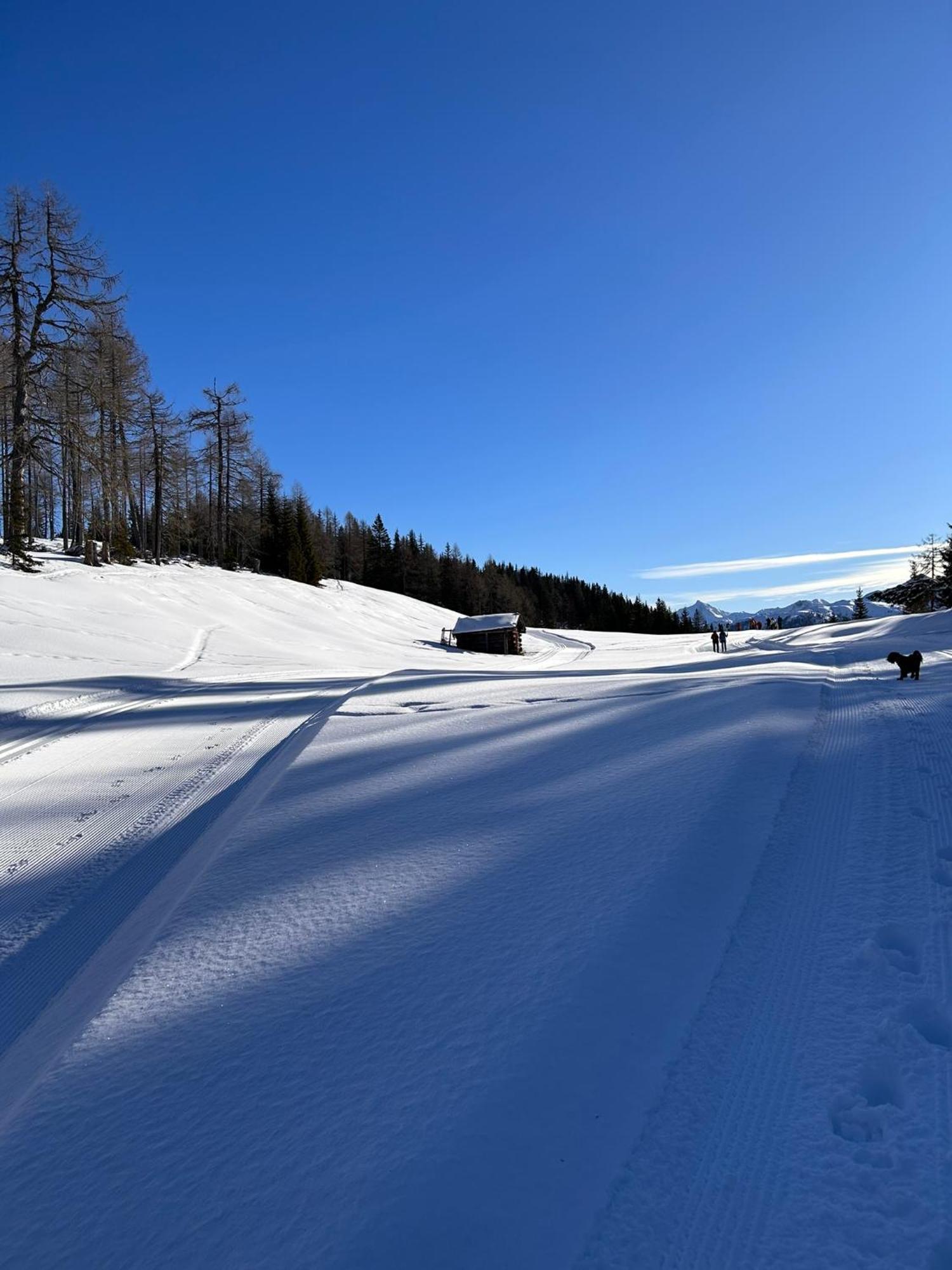 Appartementhaus Bergkristall Kartitsch Exterior photo